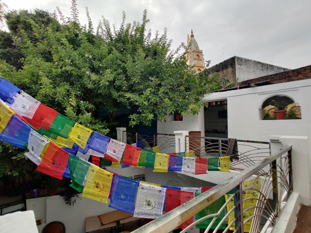 12 Monks Backpackers Community Hostel Pushkar Luaran gambar
