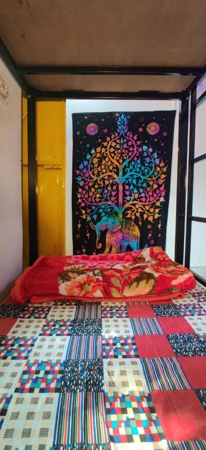 12 Monks Backpackers Community Hostel Pushkar Luaran gambar